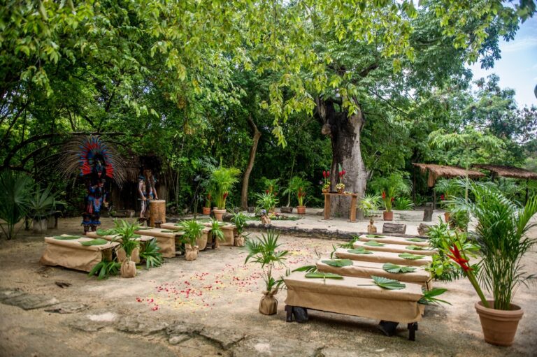 Ceiba ceremony min 1 1 768x511