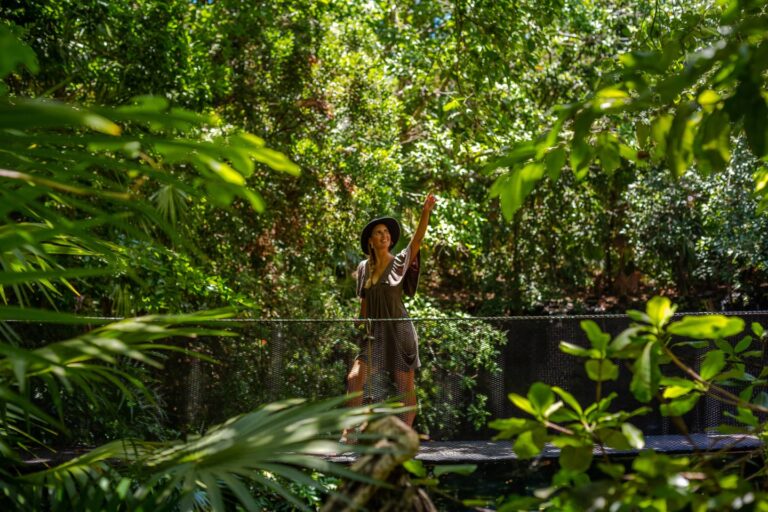 IMG 1486 min 1 768x512