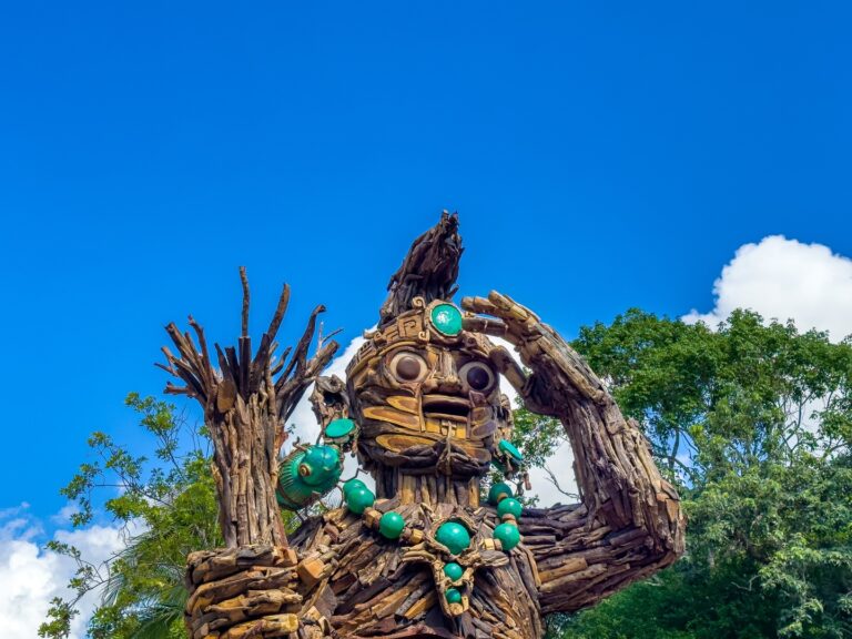 IMG 5035 0 1 768x576