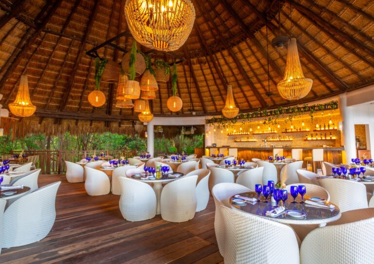 JFM 7003 0 1 768x542