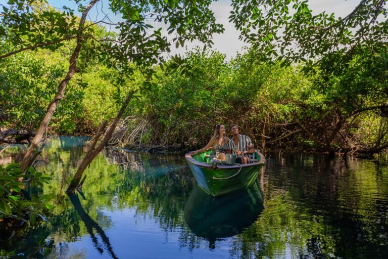 Sandos Caracol PaseoRomantico 27 min 1 768x512